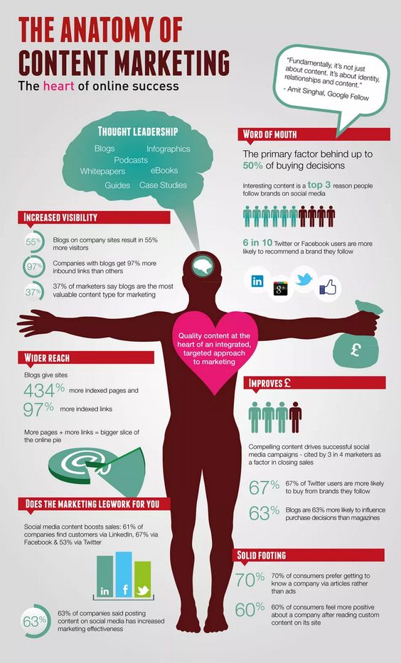exemplos de infográficos: anatomia do content marketing
