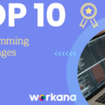 The TOP 10 programming languages of 2022 - workana blog